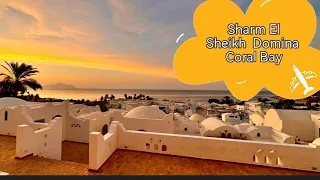 domina coral bay harem sharm el sheikh deluxe 5 концепция отеля, обзор номеров отеля оазис и гарем