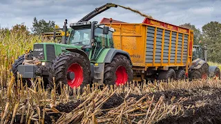 Maize silage in muddy conditions / Corn harvest in Germany / contractor Postel / 2021