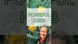 Barbara O'Neill Natural Remedies Dandelion for Liver Detox