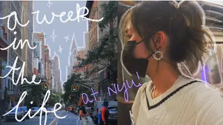 a week in the life of an nyu student *part two*