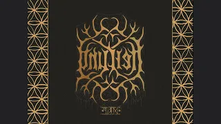 gnulieH - firD (Heilung - Drif reversed) Full Album