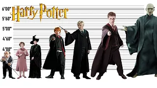 Harry Potter Size Comparison | The Biggest Characters of Harry Potter