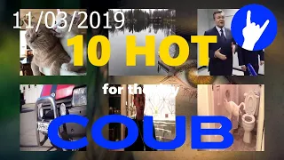 10 Hot COUB 11/03/2019