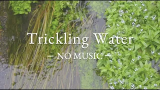 NO MUSIC 3 HRS - Gentle Water Sounds | Trickling Water | Water ASMR | Flowing Water