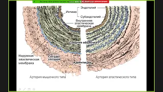 Консультация к 4 коллоквиуму (1 часть) - Кутукова К.А.