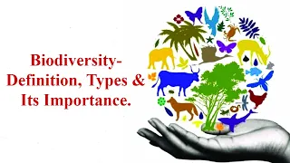 Biodiversity-Definition, Types Of Biodiversity, Importance of Biodiversity