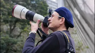 Sony 300mm f/2.8 GM Review: UNBELIEVABLY GOOD!