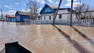 Река Самара вышла из берегов — в селе Домашке подтопило дома