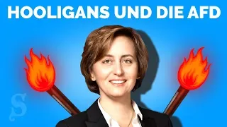 Hooligans und die AfD