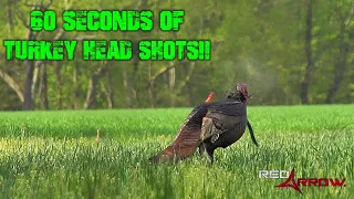 60 SECONDS OF TURKEY HEAD SHOTS!!