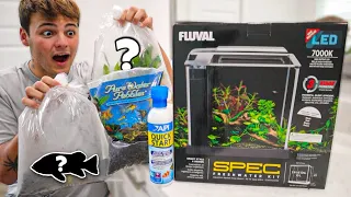 My *NEW* 3 GALLON AQUARIUM SET-UP!! (easy & cheap)