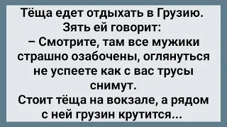 Теща Поехала в Грузию! Сборник Свежих Анекдотов! Юмор!