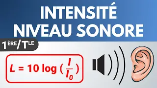 INTENSITÉ SONORE & NIVEAU D'INTENSITÉ SONORE ✅ Terminale Spécialité | Physique