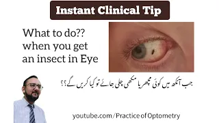 What to do when you get an insect in eye? | Jab ankh mein koi insect chla jay to kya krein?