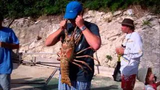 Giant Bermuda Lobster
