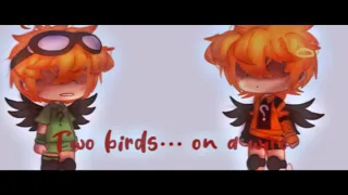 ˗ˏˋTwo birds… on a wire´ˎ˗ || haikyuu meme || Hinata Shoyo Angst? || ft. middle school shoyo