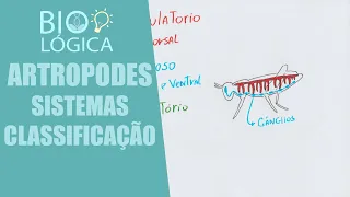 BIO LÓGICA! ARTRÓPODES - SISTEMAS E CLASSIFICAÇÃO