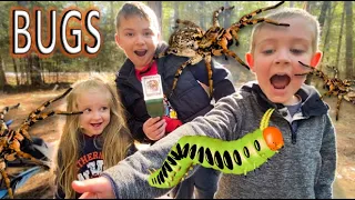 CAMPING BUG HUNT for KIDS!! SPIDERS, Caterpillar, WASP, Spider Eggs & MORE!!