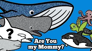 Baby Orca Find Mommy | Are Orcas and Killer Whales the Same? | Learn About Whales with Sea Animals