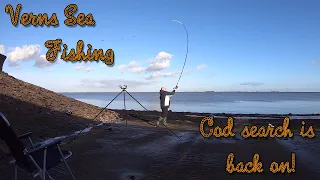 VERNS SEA FISHING | COD SEARCH IS BACK ON AT THE HUMBER