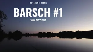 Barsch, wo bist du? #1