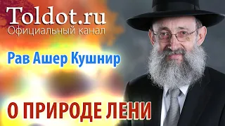 Рав Ашер Кушнир. О природе лени. Месилат Йешарим 42