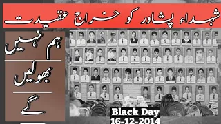 16 December 2014 | Black Day | APS Army Public School Peshawar Attack | Tribute to Martyrs