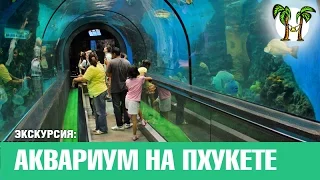 ОКЕАНАРИУМ НА ПХУКЕТЕ, Пхукет патонг, Пхукет карон | PHUKET AQUARIUM