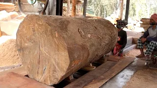 Amazing Sawmill Dangerous Wood Cutting Skills//Big Sawmill Cutting Machines at the Edge of Precision