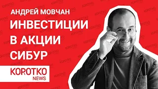 Мовчан — зять Путина Шамалов Сибур Андрей Мовчан Путин инвестиции в акции Кирилл Шамалов дочь Путина