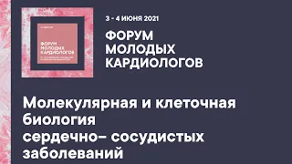 Молекулярная и клеточная биология сердечно– сосудистых заболеваний