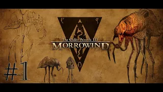 Прохождение The Elder Scrolls III: Morrowind #1 - Прибытие в порт Сейда Нин