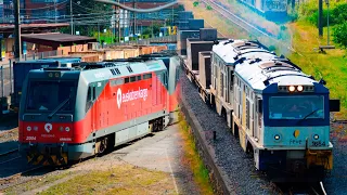 La terminal de mercancías de Ariz de Feve y Euskotren