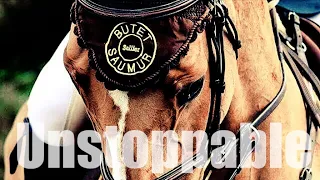 Unstoppable || Equestrian Music Video ||