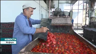 Консервный завод "Субхи ватан"