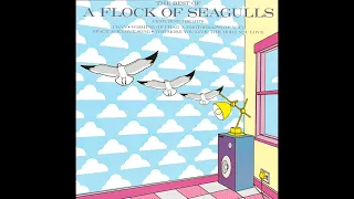 The Best of A Flock of Seagulls [Full Album]