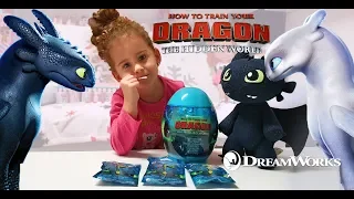 How To Train Your Dragon: The Hidden World! BIG EGG Surprise & Mystery Blind Bags