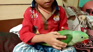 Ek bache or parrot Ka pyaar apne aisa kabhi dekha nahi hoga