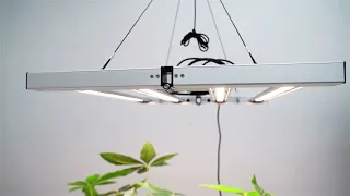 MINI 240W LED Grow Light Bar