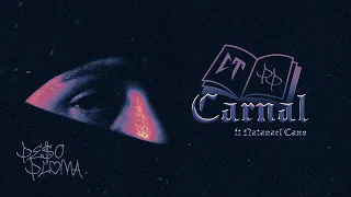 CARNAL (Visualizer) - Peso Pluma, Natanael Cano