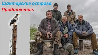 Путешествие на тримаране. Залив счастья, бухта Ланге, оз. Мухтеля, китовая бухта Врангеля.