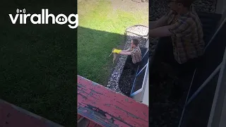 Man Rescues Fawn From Window Well || ViralHog