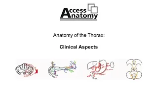 Anatomy of the Thorax 10 - Clinical Aspects