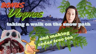 🎄BONUS VLOGMAS 🎁 #1/2 🪅 Walking on a Snow Path ❄️ 🍃 Making Cedar Tea 🫖 🛷 IZZY ON THE MOVE 🎄EN FR SUB