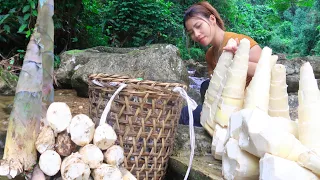 Harvest Bamboo Shoots - How To process boiled bamboo shoots, Go to the market to sell. Farm Building