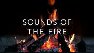 Sounds Of The Fire   15 Minute Meditation   Wood Burning Sound For Relaxation