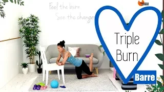 Ballet Barre Total Body Workout BARLATES BODY BLITZ Triple Burn Barre