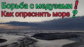 Борьба с медузами на Азовском море 2022 г.