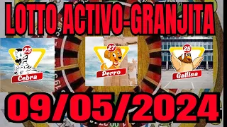 SUPER DATOS PARA🌹LOTTO ACTIVO y GRANJITA 09/05/2024#lottoactivo#lagranjita#datosparahoy#datosdehoy