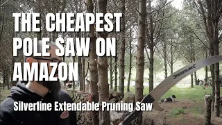 Testing The Cheapest Pole Saw On Amazon - Silverline  Extendable Pruning Saw